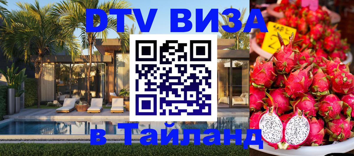 Оформление DTV визы под ключ: стоимость и тарифы, только загранпаспорт - 05.12.2025 